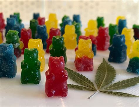 Gummy Bear Recipe Cannabis: A Comprehensive Guide to Making Infused Gummies