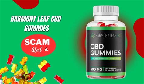 Harmony Leaf CBD Gummies for Sale - Natural Relief and Wellness Support