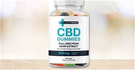 Health Benefits of CBD Gummies: A Comprehensive Guide