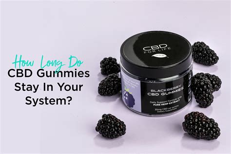 How Long CBD Gummies Stay in System: Expert Insights and User Reviews