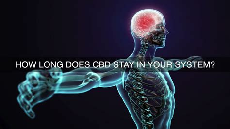 How Long Do CBD Gummies Stay in Your Bloodstream? Duration and Effects