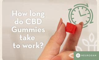 How Long Do CBD Gummies Take to Kick In? Onset Time and Factors