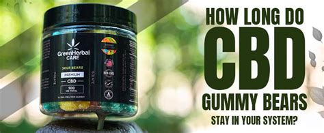 How Long Do CBD Gummy Bears Stay in Your System: Duration and Factors