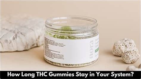 How Long Does CBD Gummies Stay in Your System? Comprehensive Guide