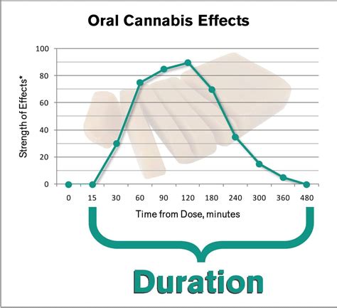 How Long Till CBD Gummies Kick In: Effects, Onset Time, and Benefits