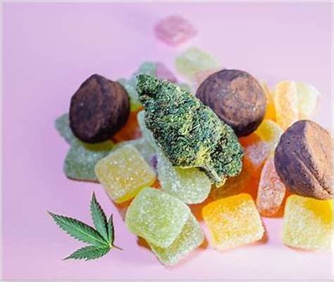 How Many MG of CBD Gummies Should I Start With: A Beginner's Guide