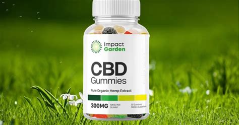 Impact Garden CBD Gummies: Benefits, Effects, and Expert Reviews