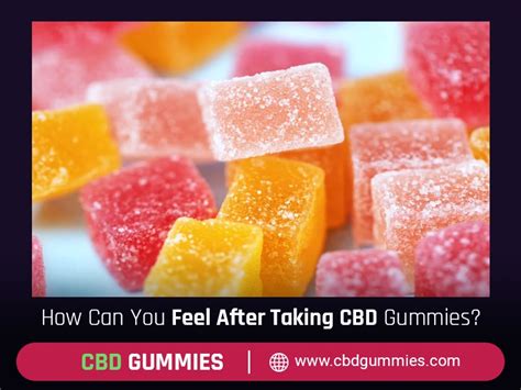 Is It Bad to Take CBD Gummies Daily? Benefits, Risks, and Safety Guidelines