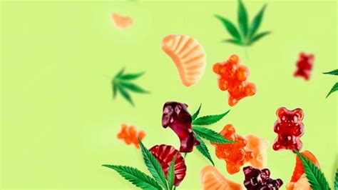 Kevin Costner CBD Gummies: Benefits, Reviews, and Facts