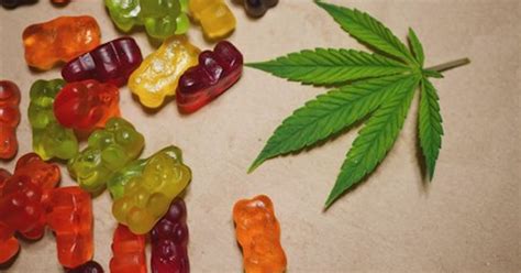 Kevin Costner CBD Gummies: Benefits, Science, and Reviews