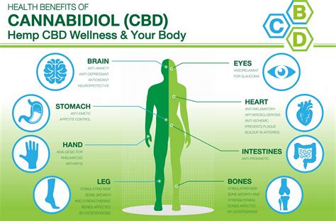 Long Term Effects of CBD Gummies: Benefits, Risks, and Side Effects