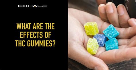 Low Dose Cannabis Gummies: Benefits, Effects, and Where to Buy