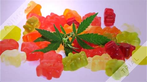 Mayim Bialik CBD Gummies: Benefits, Scams, and Expert Reviews