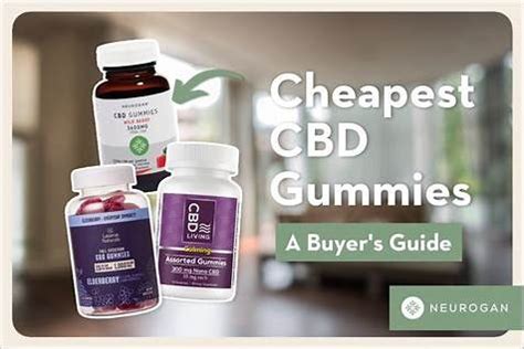 Medterra CBD THC Gummies: Benefits, Reviews, and Quality