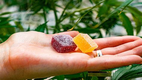 Mood Cannabis Gummies: Benefits, Types, and Expert Reviews