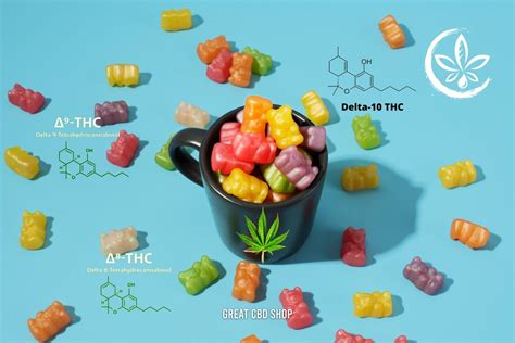 Mushroom CBD Gummies: Benefits, Types, and Reviews - Great CBD Shop