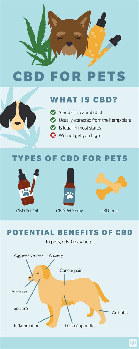 Pet Gummies CBD: Benefits, Uses, and Reviews for Pet Owners