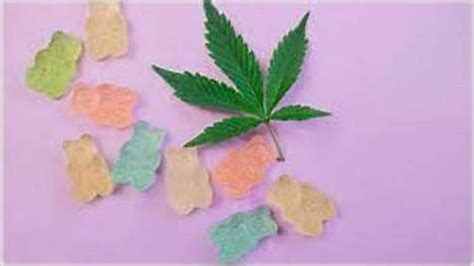 Pure Canna CBD Gummies Side Effects: Benefits, Safety, and Reviews