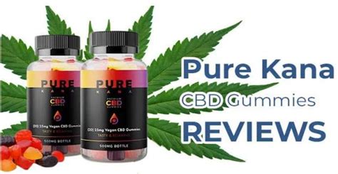 Pure Kana CBD Gummies and Blood Thinners: Interaction, Safety, and Efficacy