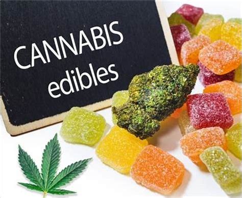 Que es CBD Gummies en Español: Guía Completa y Beneficios para la Salud