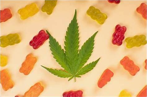 Rejuvenate CBD Gummies for Diabetes: Natural Alternative for Blood Sugar Control