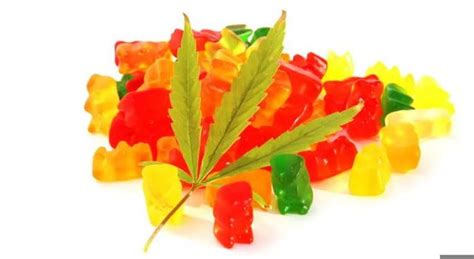 Tom Selleck CBD Gummies - Benefits, Reviews, and Side Effects