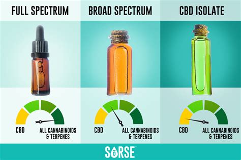 Unlocking the Benefits of CBD Spectrum Gummies - Full, Broad, Isolate