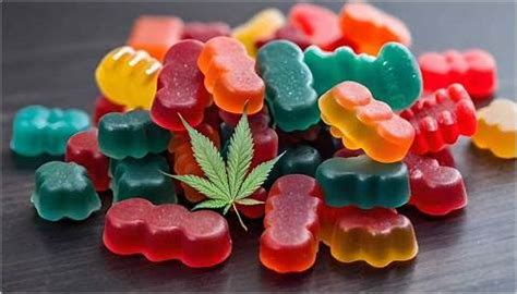 Vegan CBD Gummies for Anxiety: Benefits, Selection, and Integration