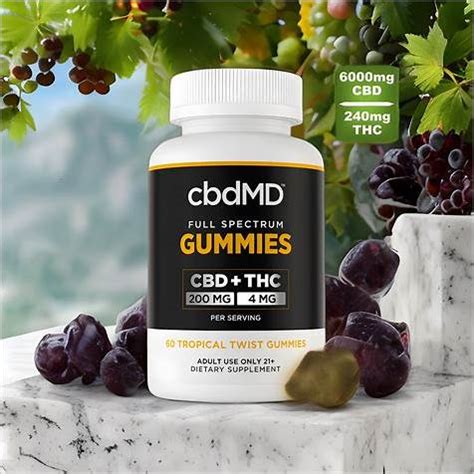 Wellness Peak CBD Gummies Review: Benefits, Dosage, and User Experiences