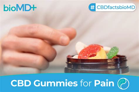 What CBD Gummies Are Good For Pain Relief: Benefits and Reviews