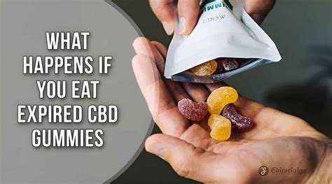 What Happens If You Eat Expired CBD Gummies? Safety, Effects & Storage Tips