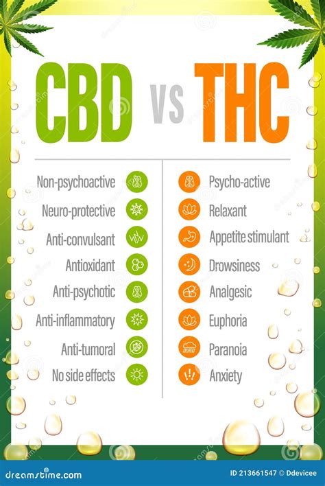 What is the Difference Between CBD and THC in Gummies? | CBD vs THC Effects