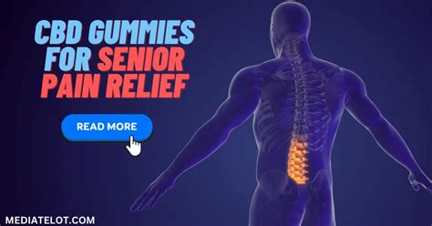 Are CBD Gummies Safe for Seniors: A Comprehensive Guide to Natural Relief