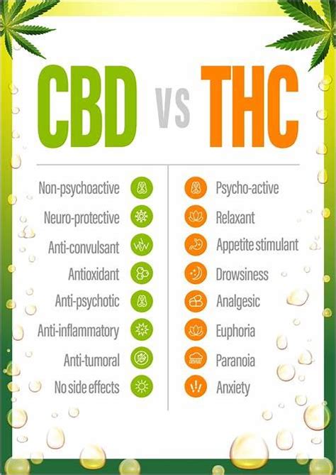 CBD Drops vs Gummies: A Comprehensive Comparison