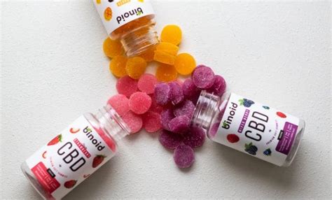 CBD Gummies 101: A Comprehensive Guide to Understanding and Using CBD Gummies