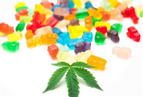 Comprehensive Review of Yuppie CBD Gummies: Understanding the Benefits and Effectiveness