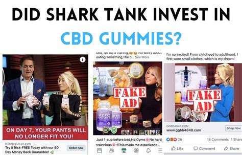 Did Shark Tank Invest in CBD Gummies: Uncovering the Truth