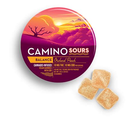 Exploring the Benefits of Camino CBD Gummies for a Balanced Lifestyle