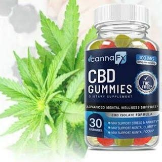 Exploring the Benefits of Canna CBD Gummies: A Comprehensive Guide