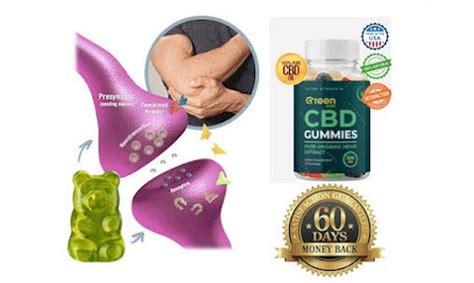 Exploring the Benefits of CBD Infused Gummies for Overall Well-being