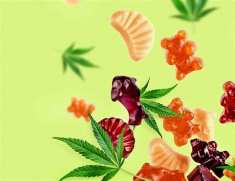 Exploring the Benefits of Mood Gummies CBD: A Comprehensive Guide