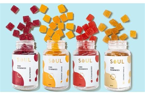 Exploring the Benefits of Soul CBD Gummies for Overall Well-being