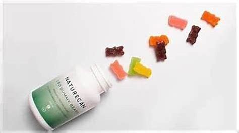 Exploring the Best CBD Gummies Brands for Optimal Wellness