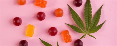 Exploring the Effectiveness of CBD Gummies for Weight Loss Reviews: A Comprehensive Guide