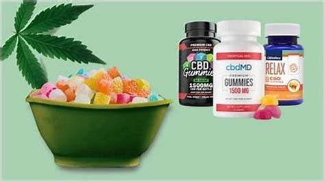 Exploring the Numerous CBD Gummies Benefits for Enhanced Overall Health and Wellness