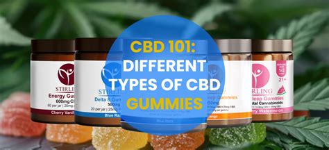 Exploring the Various Types of CBD Gummies: A Comprehensive Guide