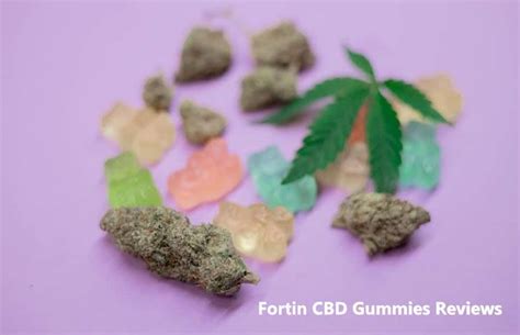 Fortin CBD Gummies Amazon: A Comprehensive Guide to CBD-Infused Wellness