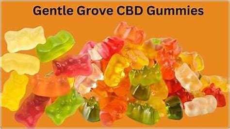 Gentle Groove CBD Gummies Shark Tank: A Comprehensive Review