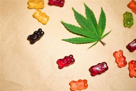 Gummy Bear CBD Edibles: A Comprehensive Guide to Relaxation and Wellness