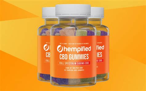 Hempified CBD Gummies Reviews: A Comprehensive Analysis of Benefits and Effectiveness